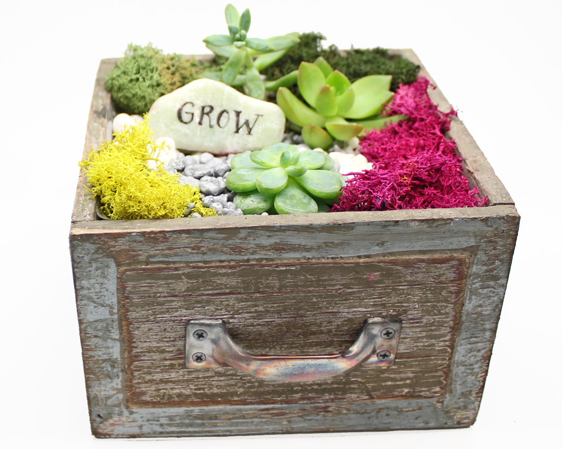 A Succulent Terrarium in Square Wooden Drawer plant nite project by Yaymaker
