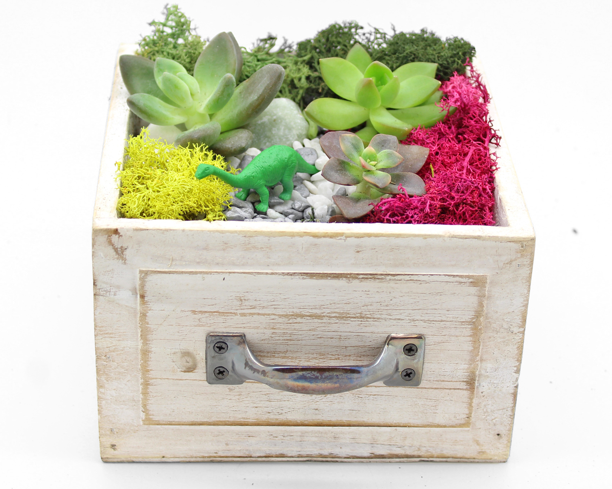 A Succulent Terrarium in Square Light Wood Drawer plant nite project by Yaymaker