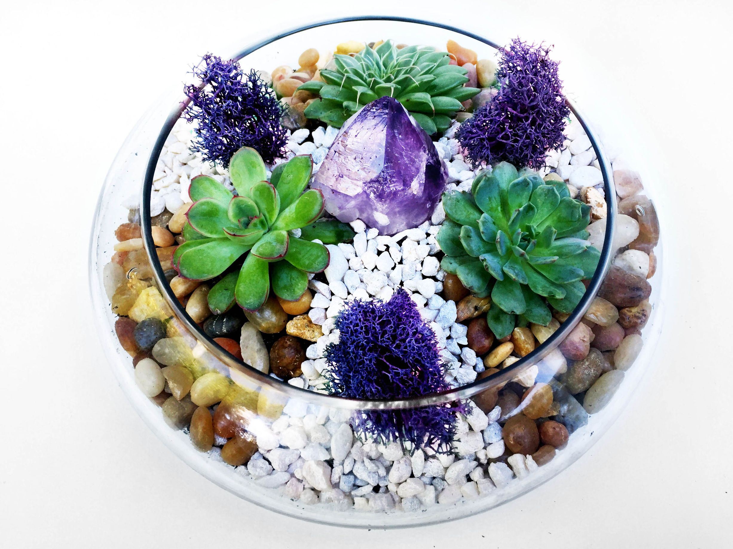 A Glass Lily Bowl Succulent Terrarium WRiver Rocks and Amethyst Crystal plant nite project by Yaymaker