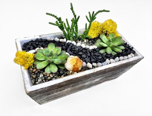 A Distressed Wood Succulent Planter Terrarium w Citrine Crystal plant nite project by Yaymaker