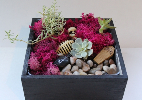 A Spooky Halloween Succulent Terrarium in Square Planter plant nite project by Yaymaker
