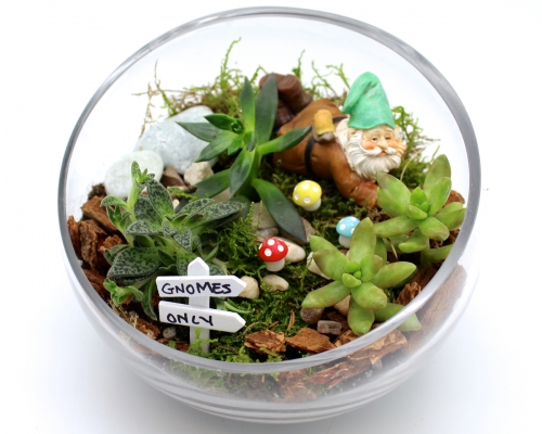 A Succulents in Slope Bowl  Woodland Gnome Garden plant nite project by Yaymaker