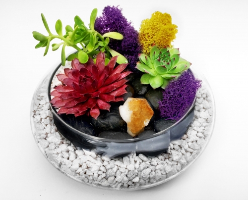 A Glass Lily bowl Succulent Terrarium WBlack Rocks and Citrine Crystal plant nite project by Yaymaker