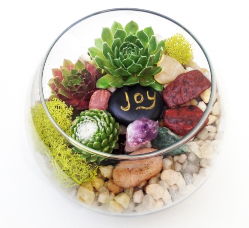 A Glass Rose Bowl Succulent Terrarium W Joy Wish Rock and Amethyst Crystal plant nite project by Yaymaker