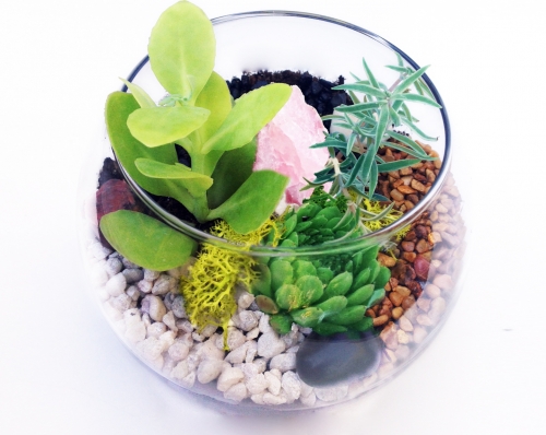 A Glass Rose Bowl Succulent Terrarium WBaby River Rocks and Rose Quartz Crystal plant nite project by Yaymaker