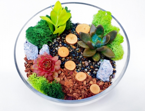 A Sloped Glass Bowl Succulent Terrarium WWood Chips and Tree Bark Pathway plant nite project by Yaymaker