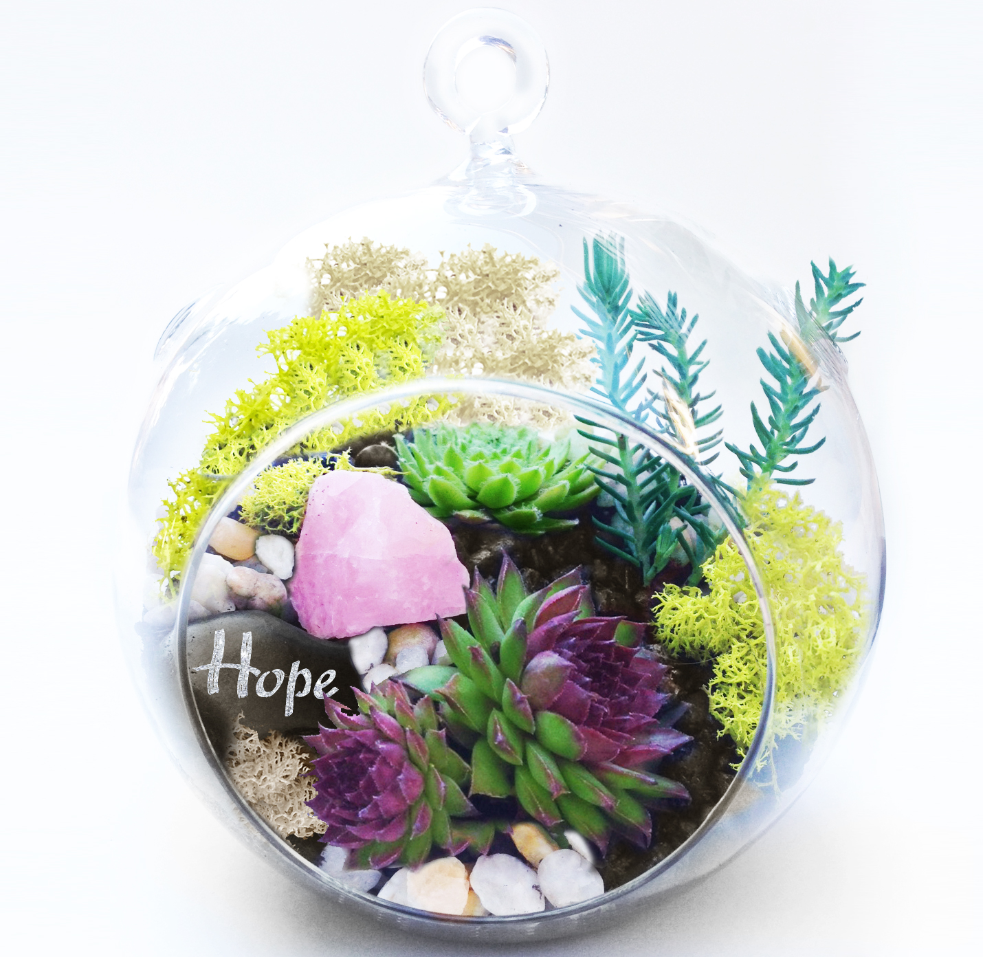 A Hanging Glass Globe Succulent Terrarium W Hope Wish Rock and Rose Quartz Crystal plant nite project by Yaymaker
