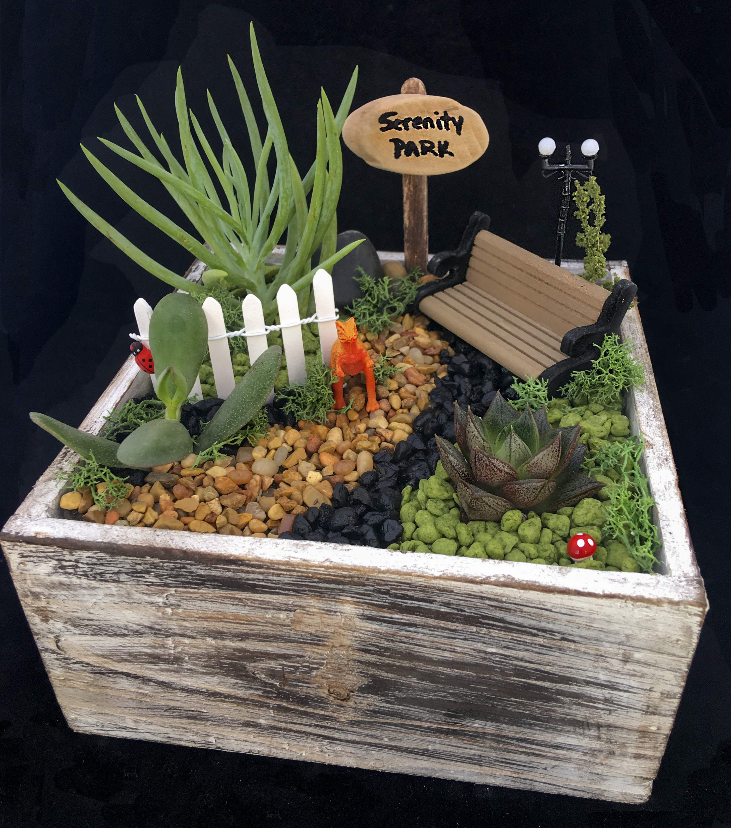 A Serenity Park plant nite project by Yaymaker