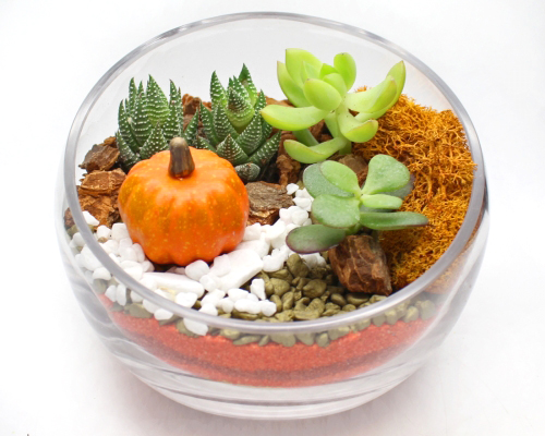 A Succulent Terrarium in Slope Bowl  Autumn Sand Art with Pumpkin plant nite project by Yaymaker