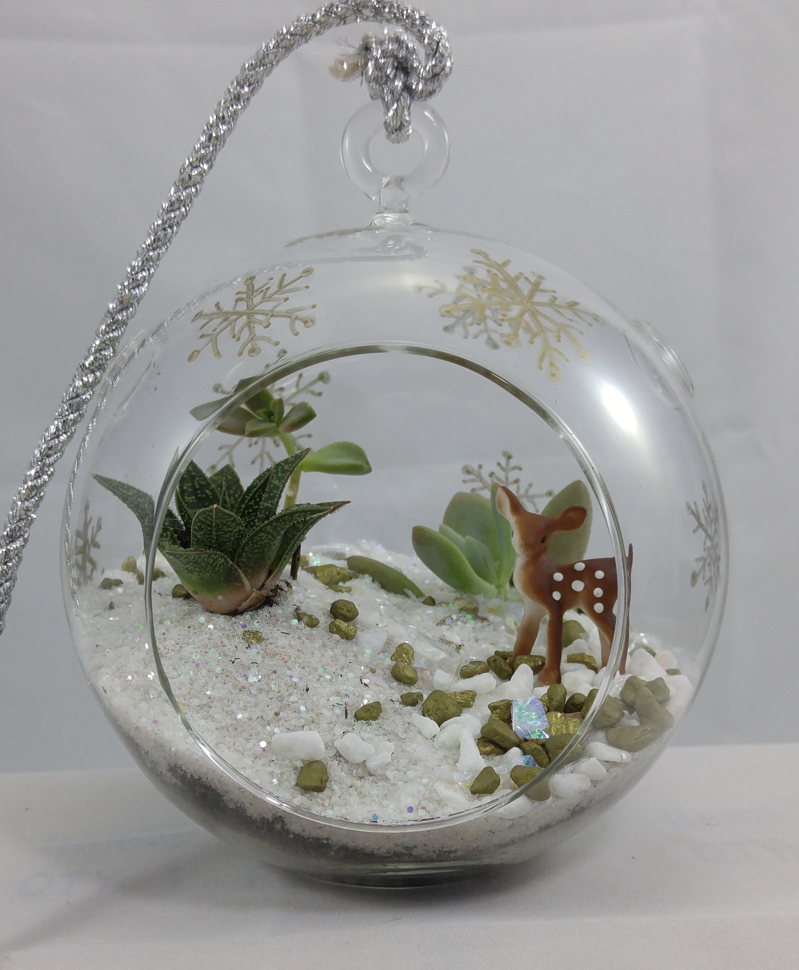 A Succulents in Snow Globe plant nite project by Yaymaker