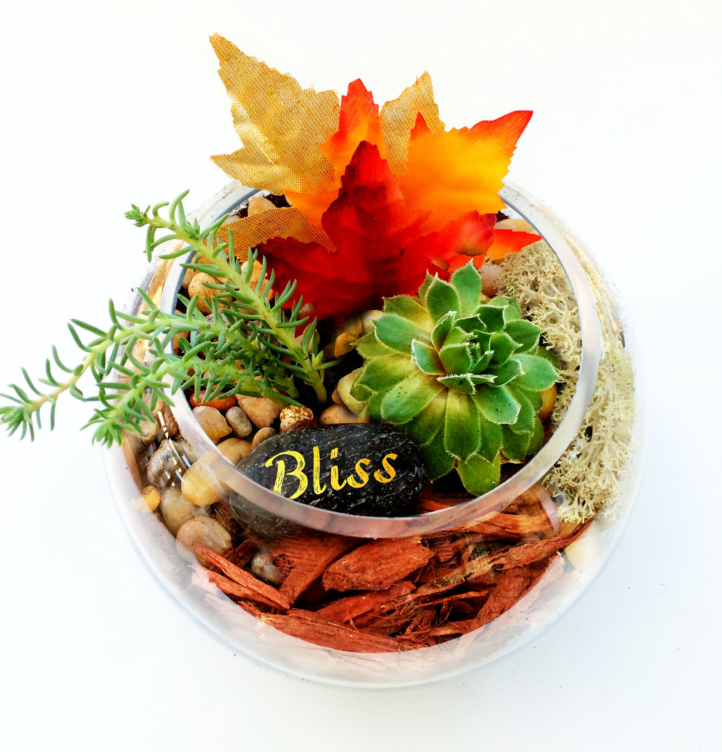 A Fall Leaves Rose Bowl Succulent Terrarium W Customized Wish Rock plant nite project by Yaymaker