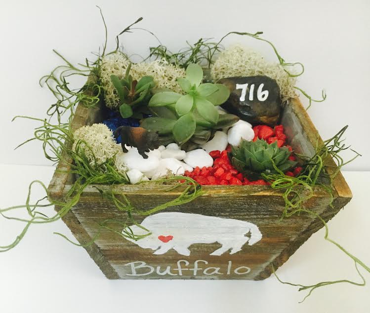 A Buffalo Pride Succulent Terrarium in Light Wood Tapered Square plant nite project by Yaymaker