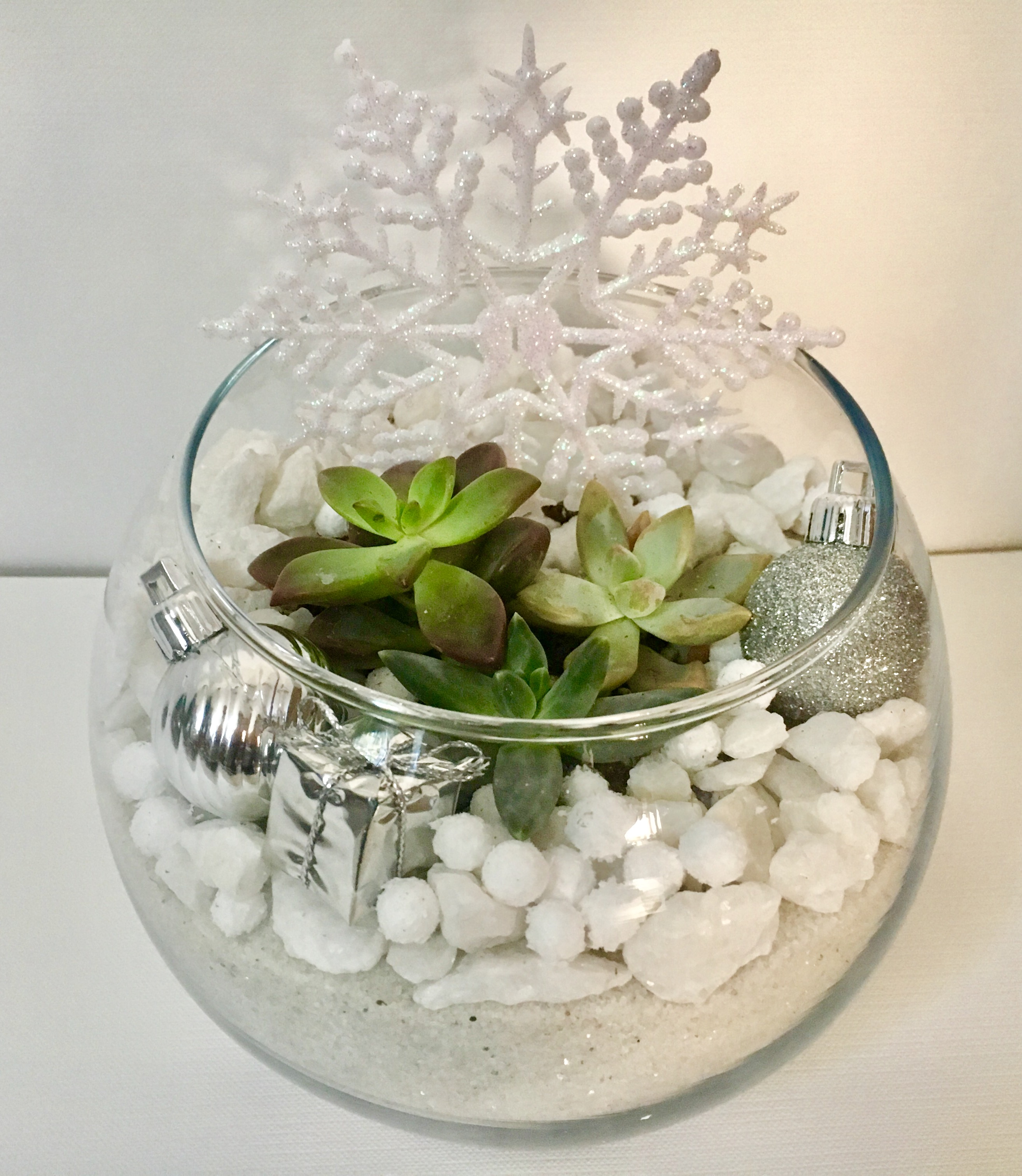 A White Christmas Succulent TerrariumRose Bowl plant nite project by Yaymaker