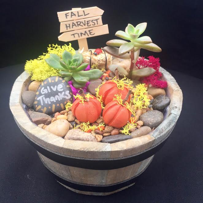 A Fall Harvest Succulent in Wooden Barrel plant nite project by Yaymaker