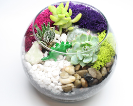 A Private Event Succulent Terrarium in Rose Bowl plant nite project by Yaymaker