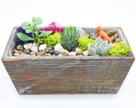 A Private Event Succulent Terrarium in Light Distressed Wood Rectangular plant nite project by Yaymaker