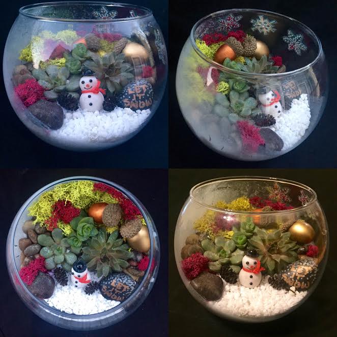 A Frosty Let it Snow Globe plant nite project by Yaymaker