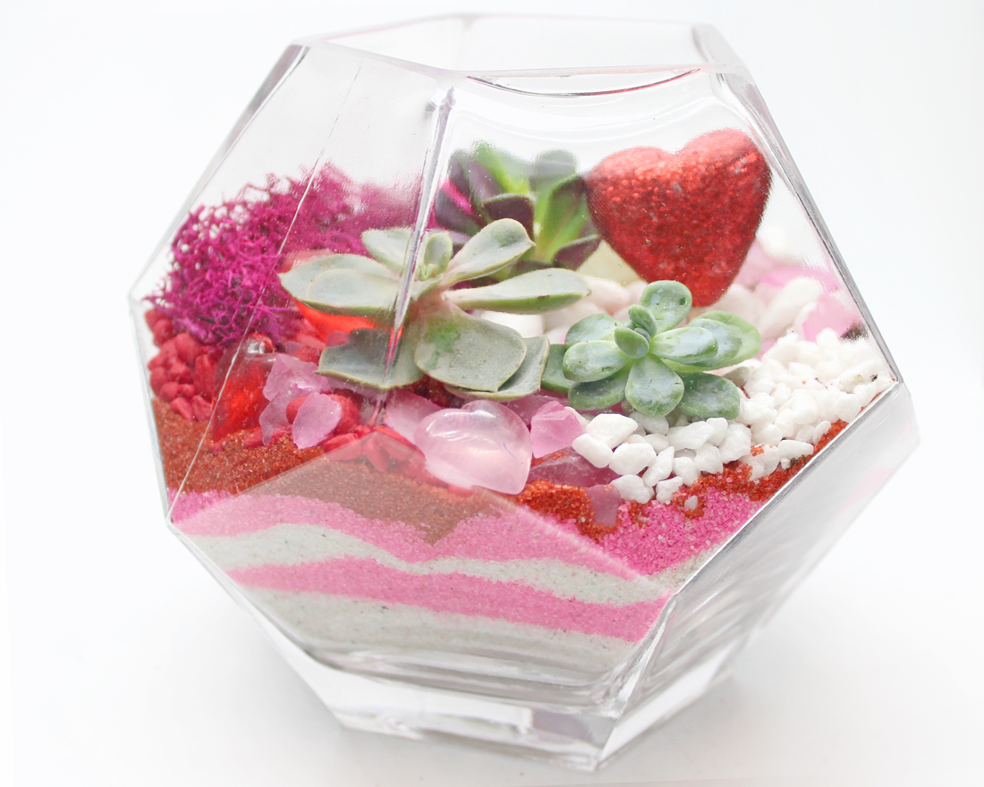 A Valentines Day Sand Art Succulents in Glass Prism plant nite project by Yaymaker