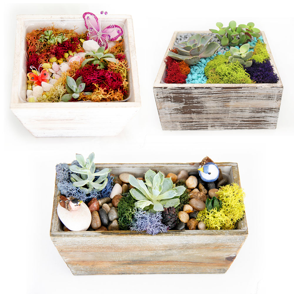 A Succulent Terrarium in Wooden Containers Mashup plant nite project by Yaymaker