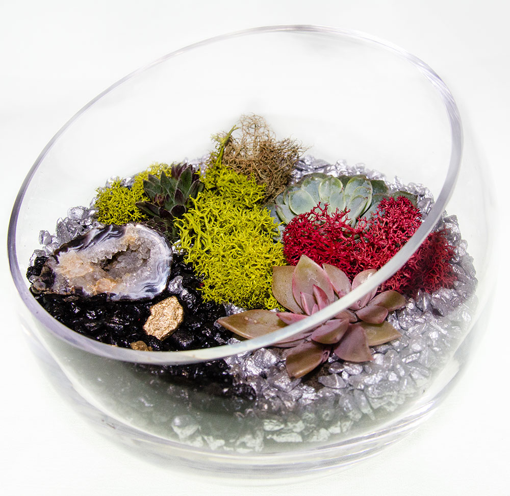 A Succulent Geode Terrarium in Sloped Bowl plant nite project by Yaymaker