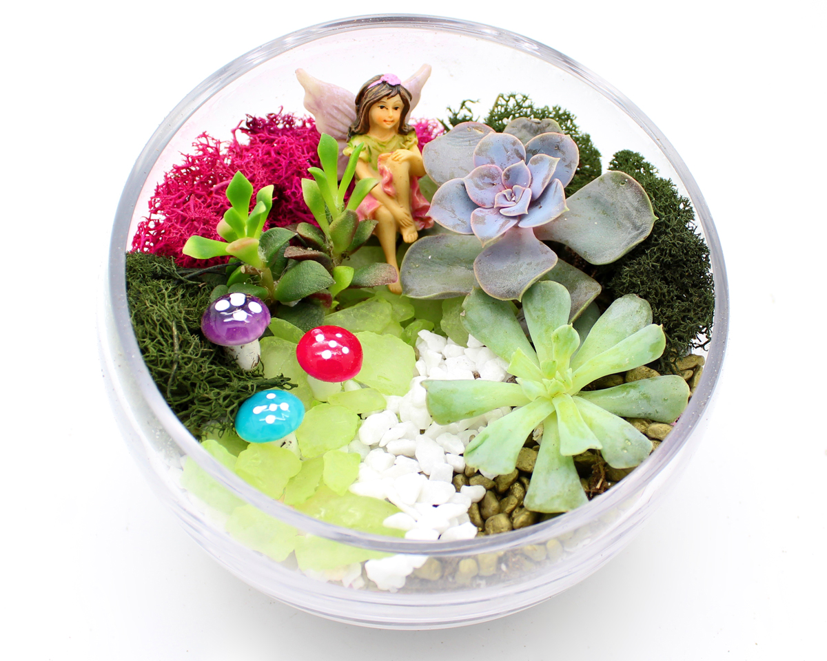 A Succulent Whimsical Fairy Garden plant nite project by Yaymaker