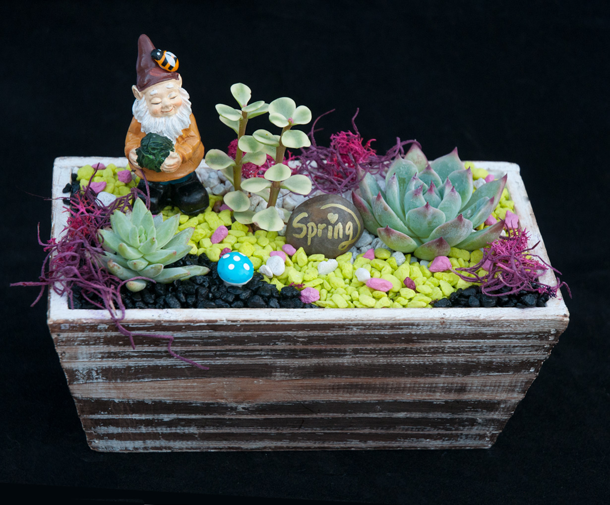 A Gnome Spring Garden plant nite project by Yaymaker