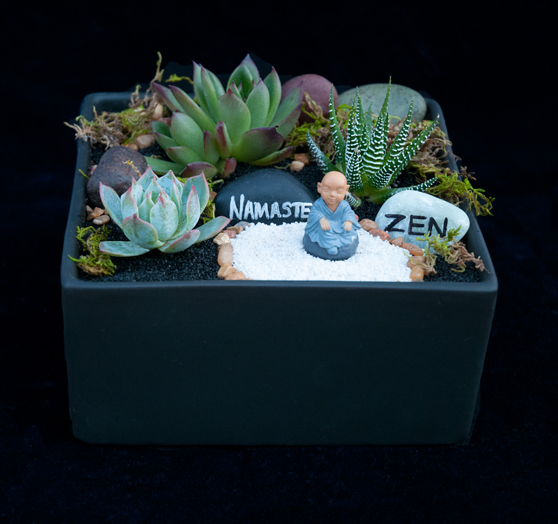 A ZEN oasis plant nite project by Yaymaker