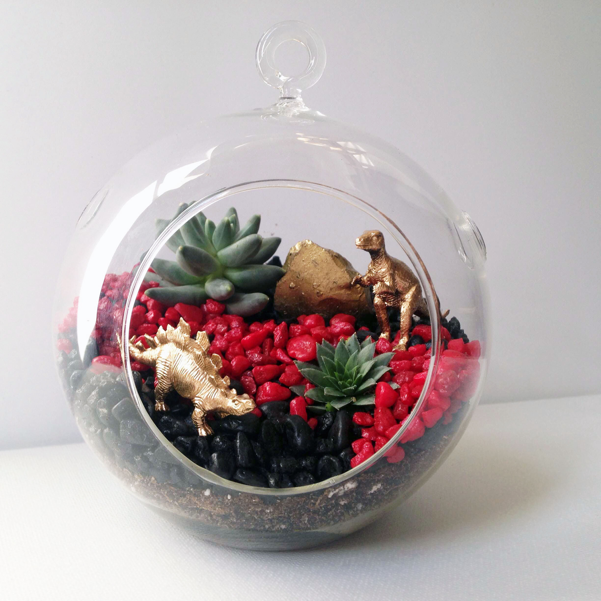 A Glass Globe Hanging Dino Garden plant nite project by Yaymaker