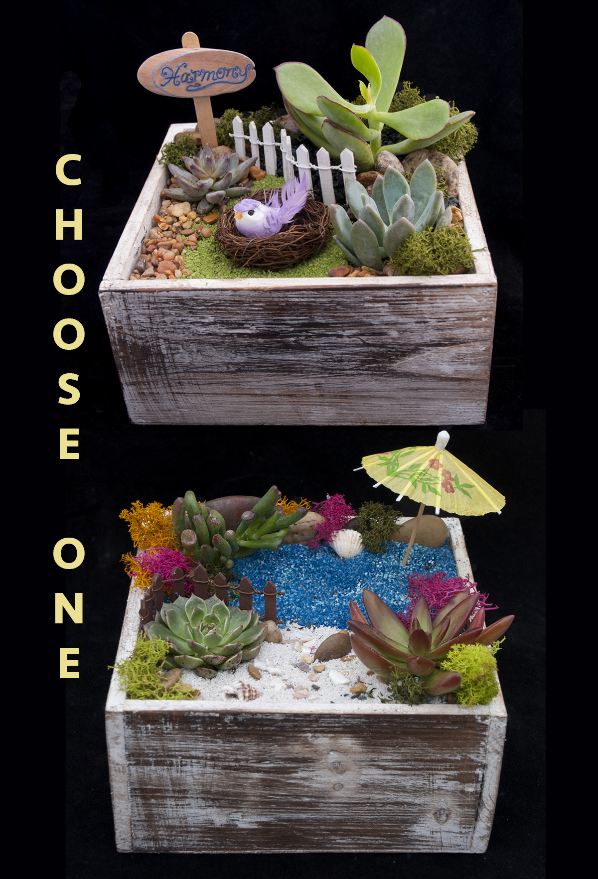 A Harmony or Beach Choice plant nite project by Yaymaker