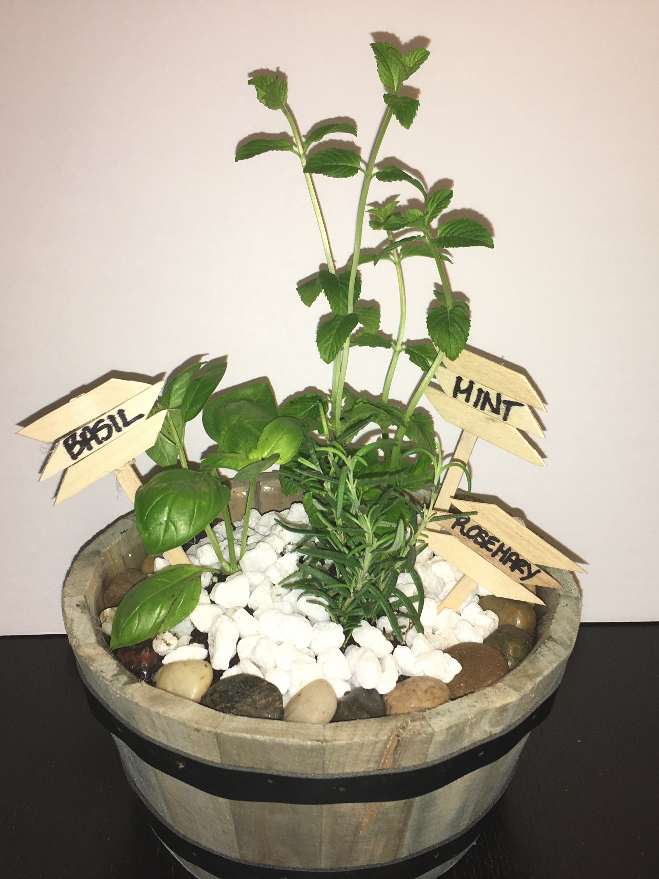 A Barrel Herb Garden plant nite project by Yaymaker