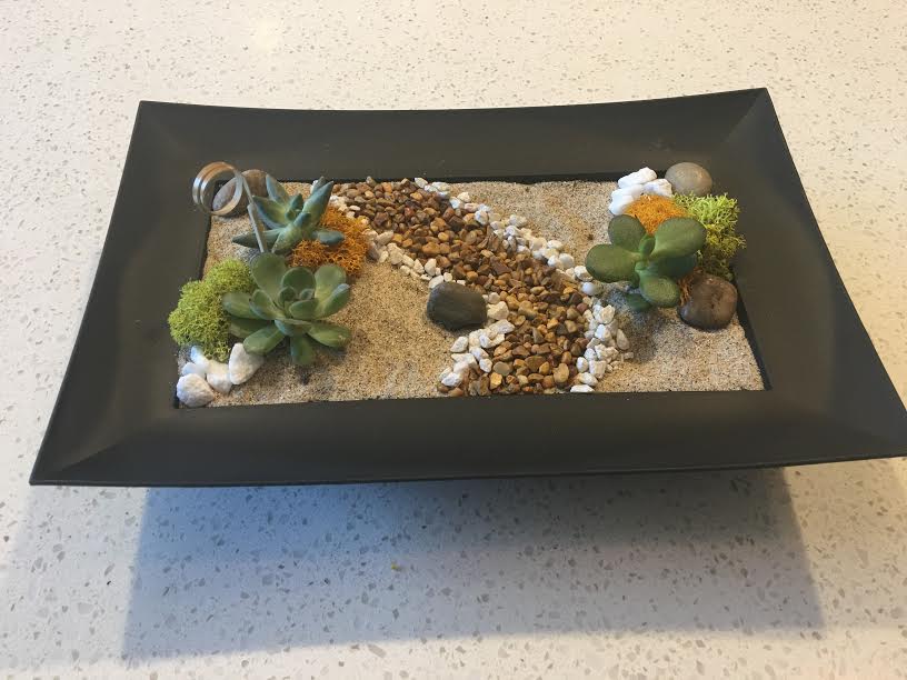 A Succulent Zen Path plant nite project by Yaymaker