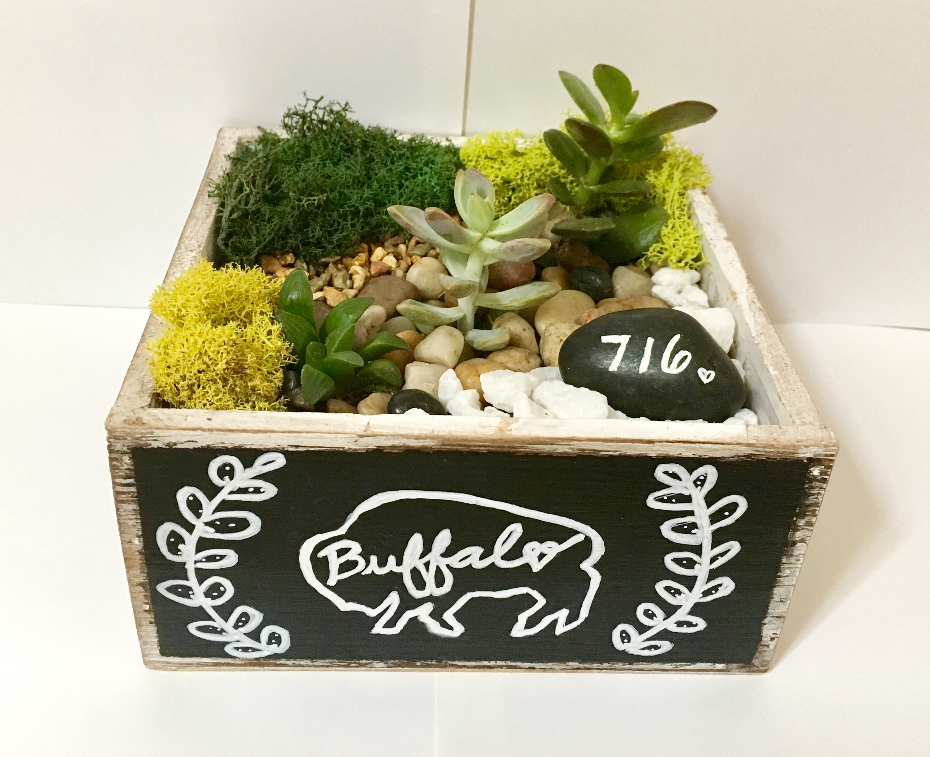 A Buffalo Love Succulent Terrarium in Distressed Wood Square w Chalkboard plant nite project by Yaymaker