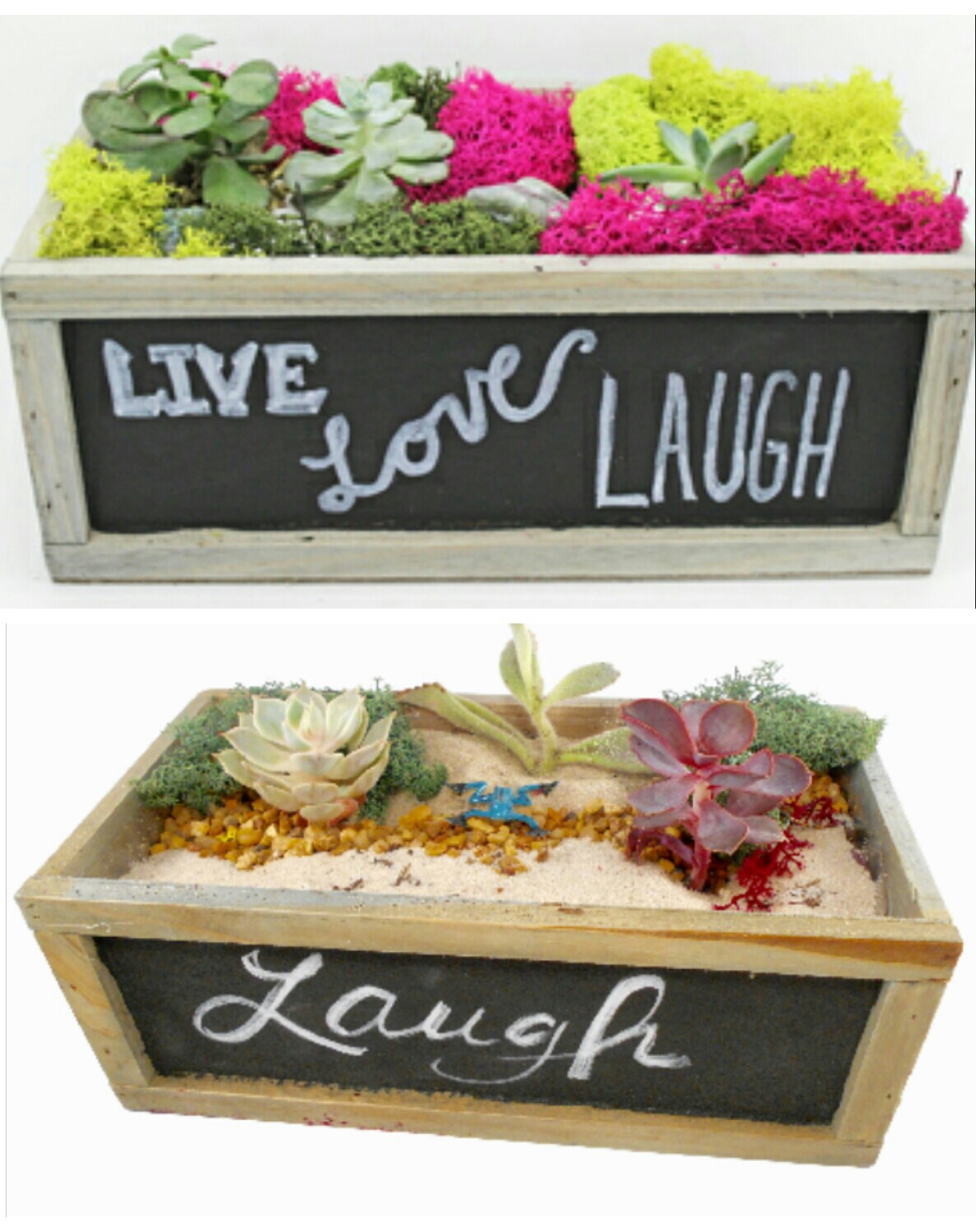 A Succulent Garden in Chalkboard Wood Box  You Choose the Design plant nite project by Yaymaker