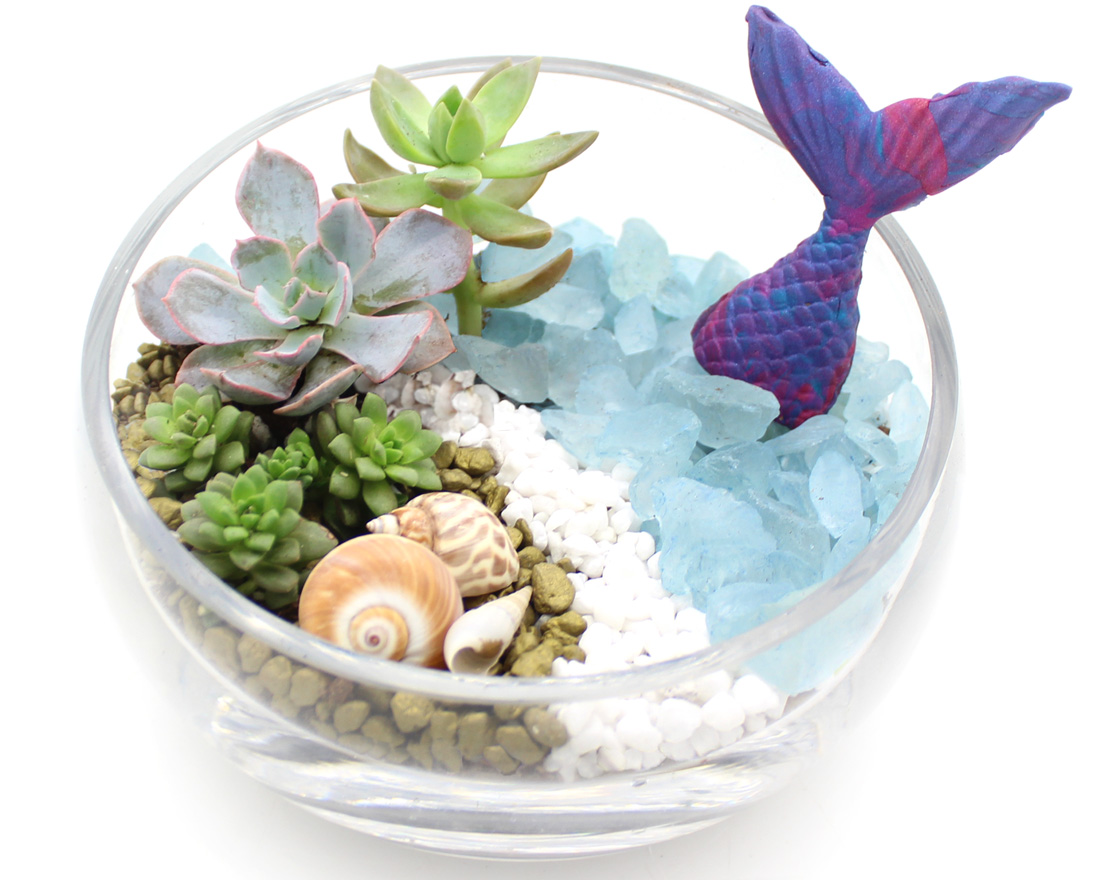A Mermaid Glimpse  Succulents in Slope Bowl plant nite project by Yaymaker