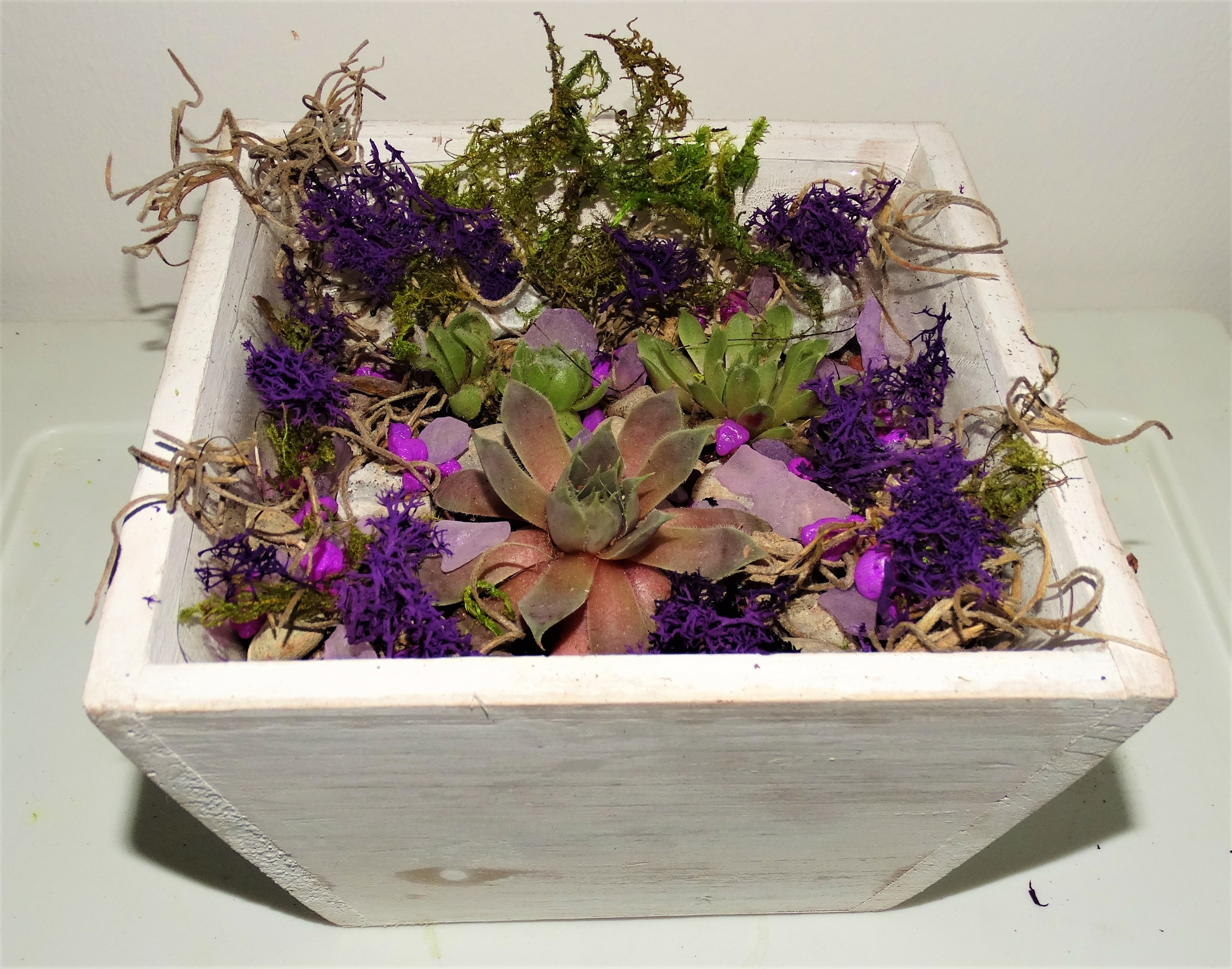 A Back to Nature Purple and Green Square Box with Frog plant nite project by Yaymaker