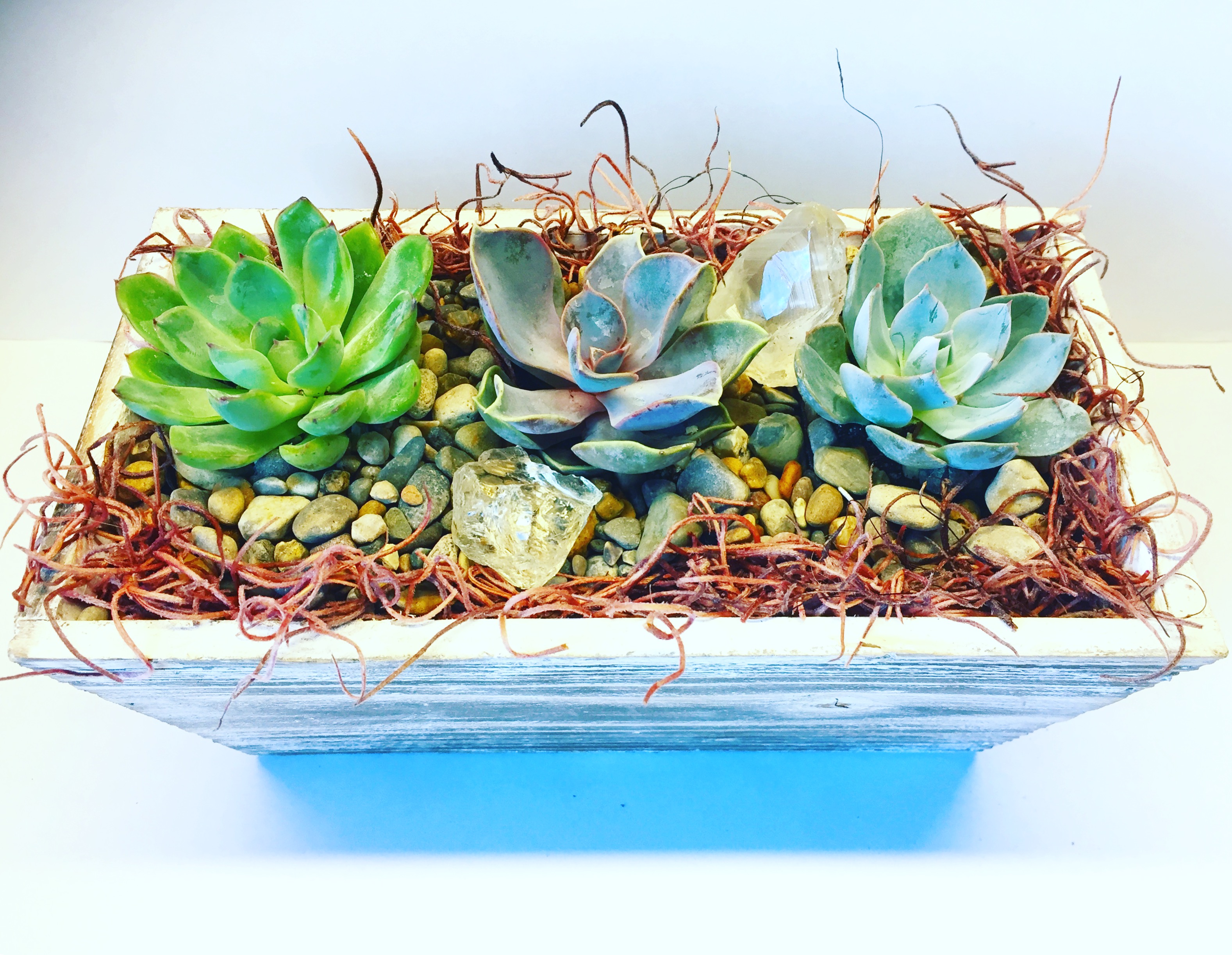 A Distressed wood planter with succulents spanish moss and citrine quartz crystal plant nite project by Yaymaker