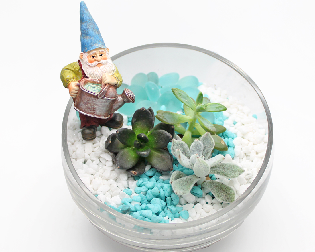 A River Gnome Succulents in Slope Bowl plant nite project by Yaymaker