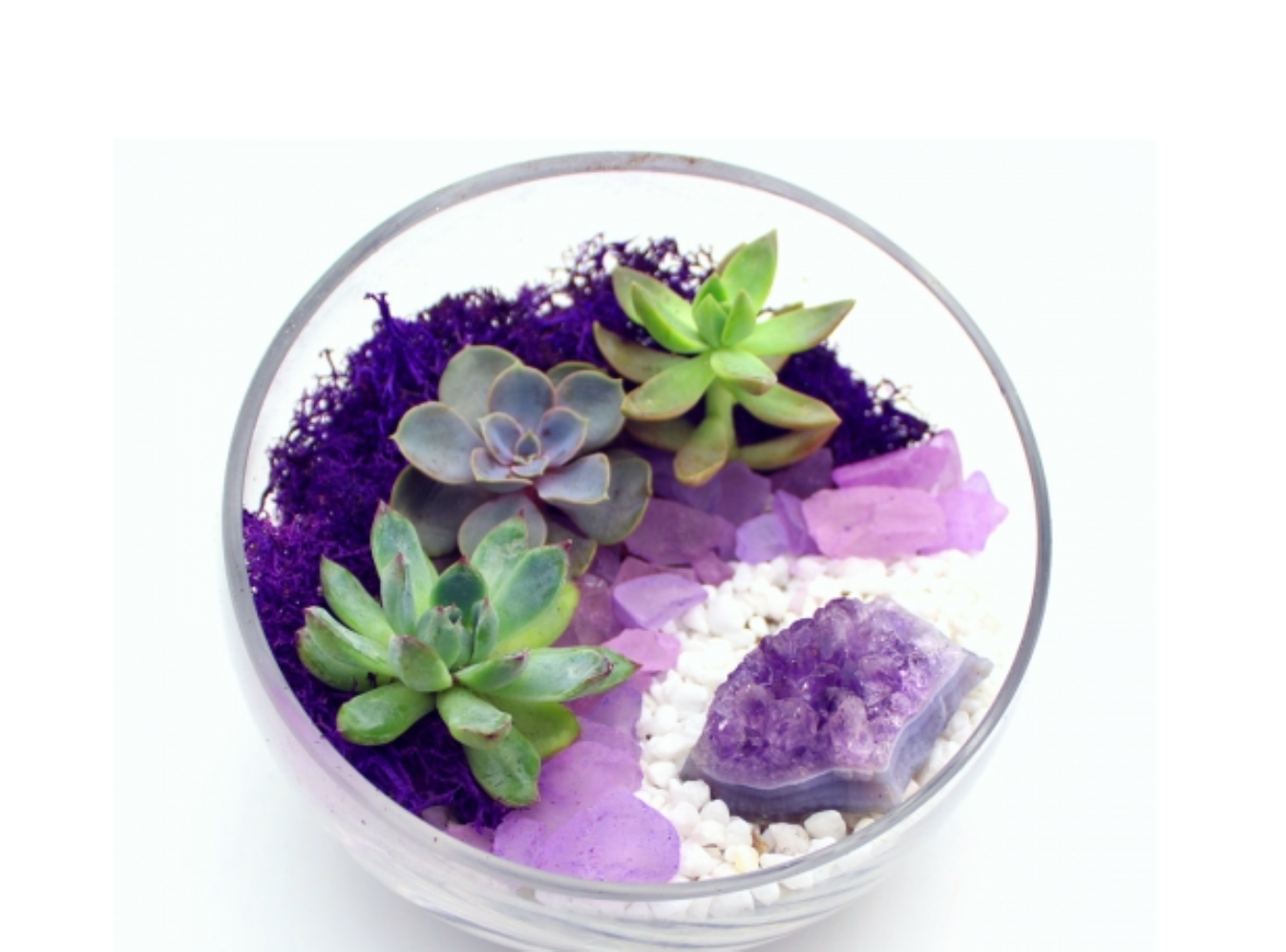A Succulent Terrarium in Half Cut Bowl with Amethyst Crystal plant nite project by Yaymaker