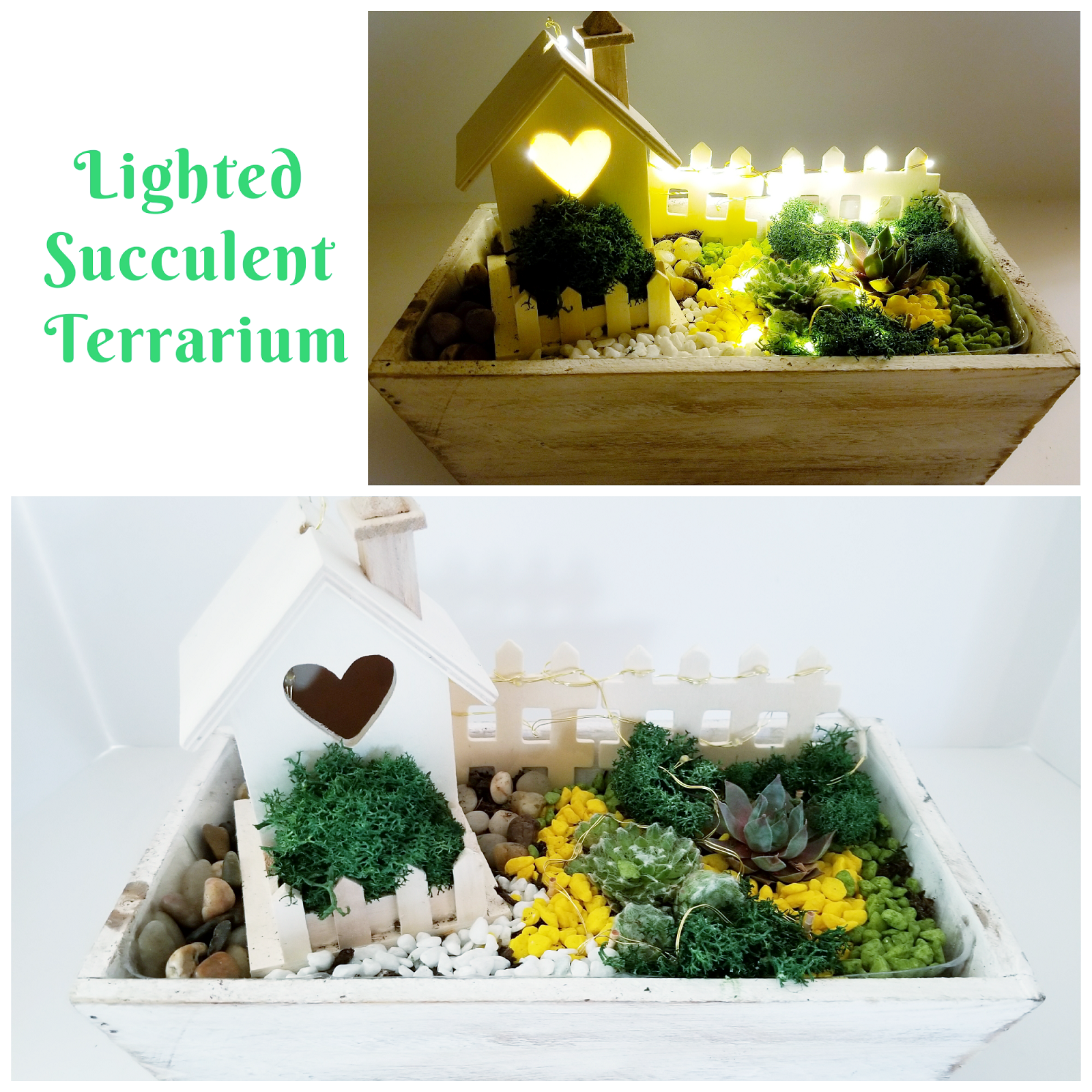 A Lighted Succulent Terrarium Fields of Gold plant nite project by Yaymaker
