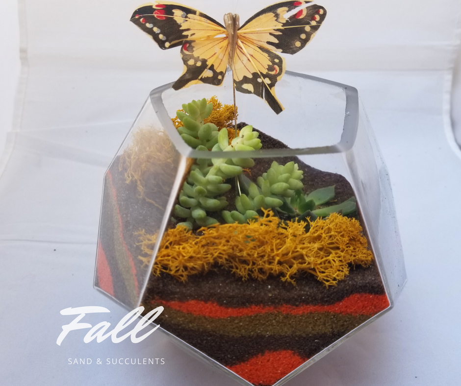 A Fly into Fall plant nite project by Yaymaker
