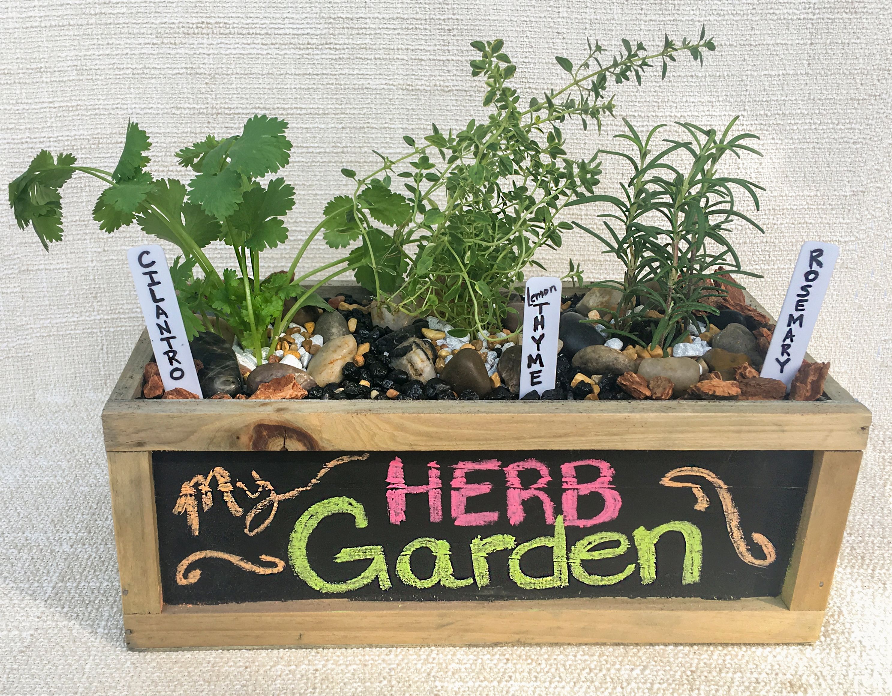 A Herb Garden in Chalkboard Container plant nite project by Yaymaker