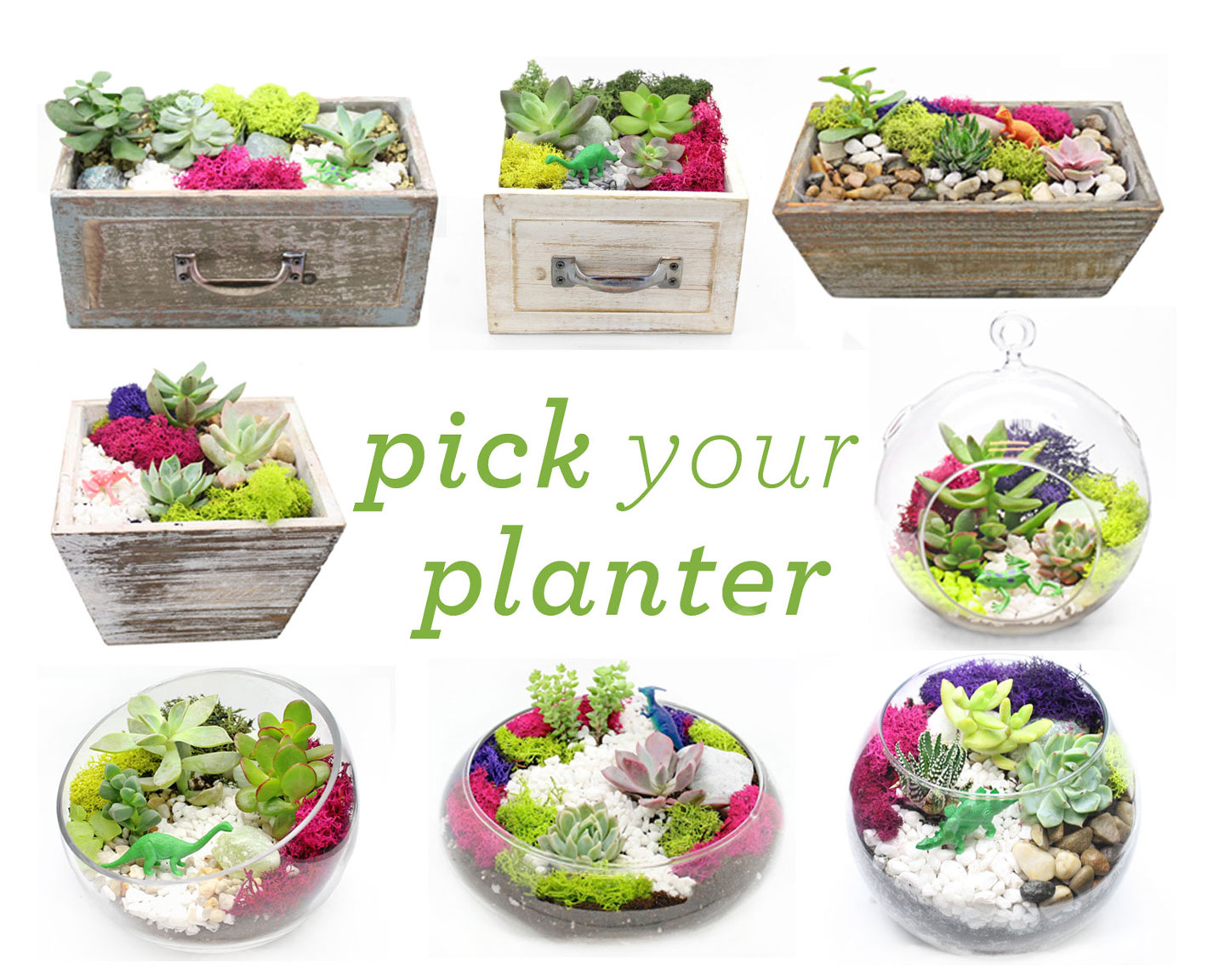 A Pick Your Planter Succulents with Wood and Glass Assortment plant nite project by Yaymaker