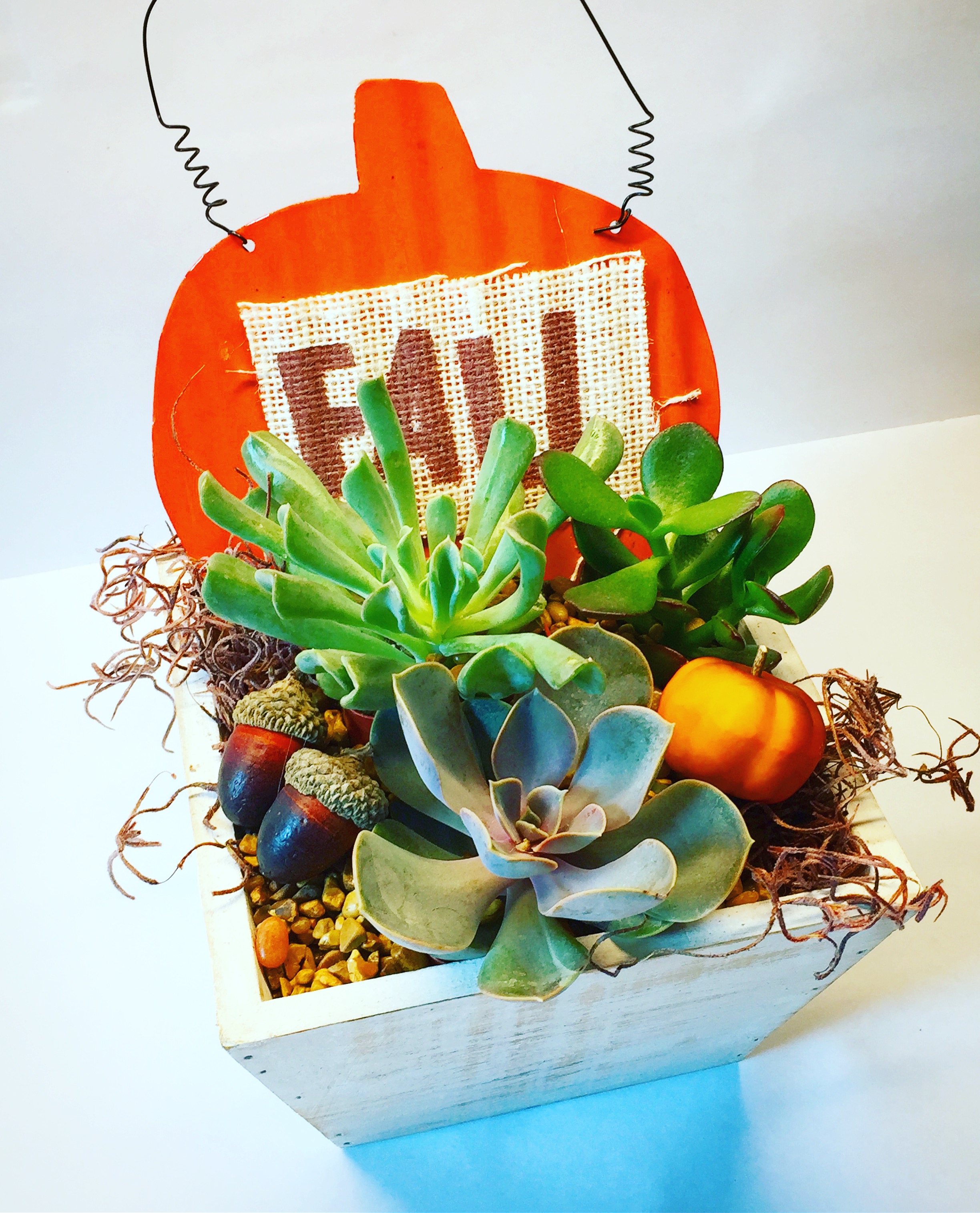 A Fall Pumpkin Planter plant nite project by Yaymaker