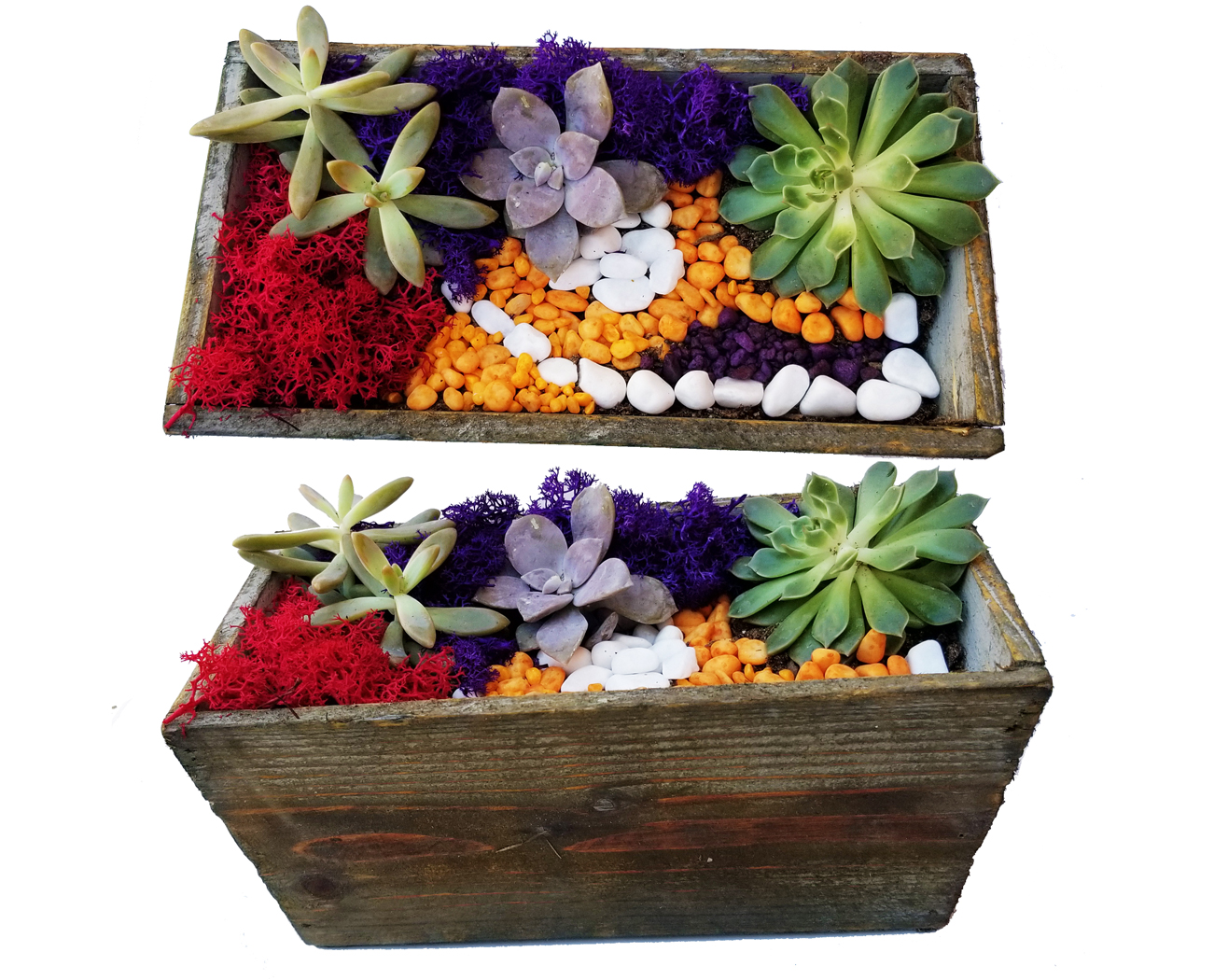 A Color Blocking in Wooden Planter plant nite project by Yaymaker
