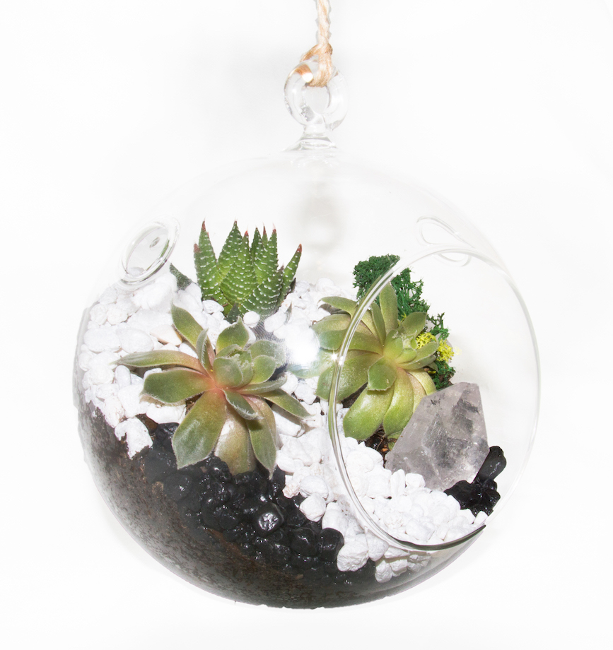 A Succulent Terrarium with Clear Quartz in Hanging Globe plant nite project by Yaymaker