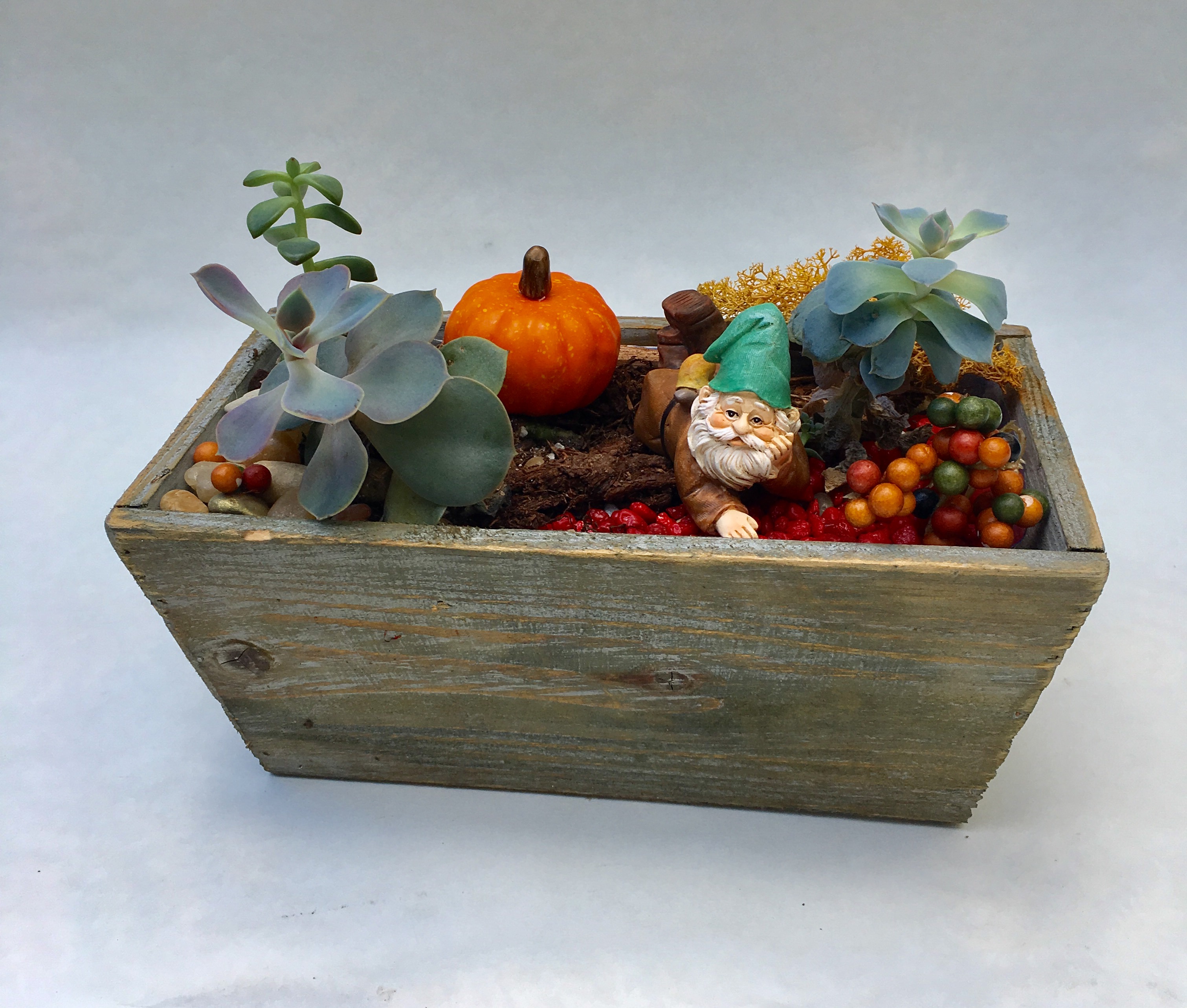 A Rustic Gnome Pumpkin Garden plant nite project by Yaymaker