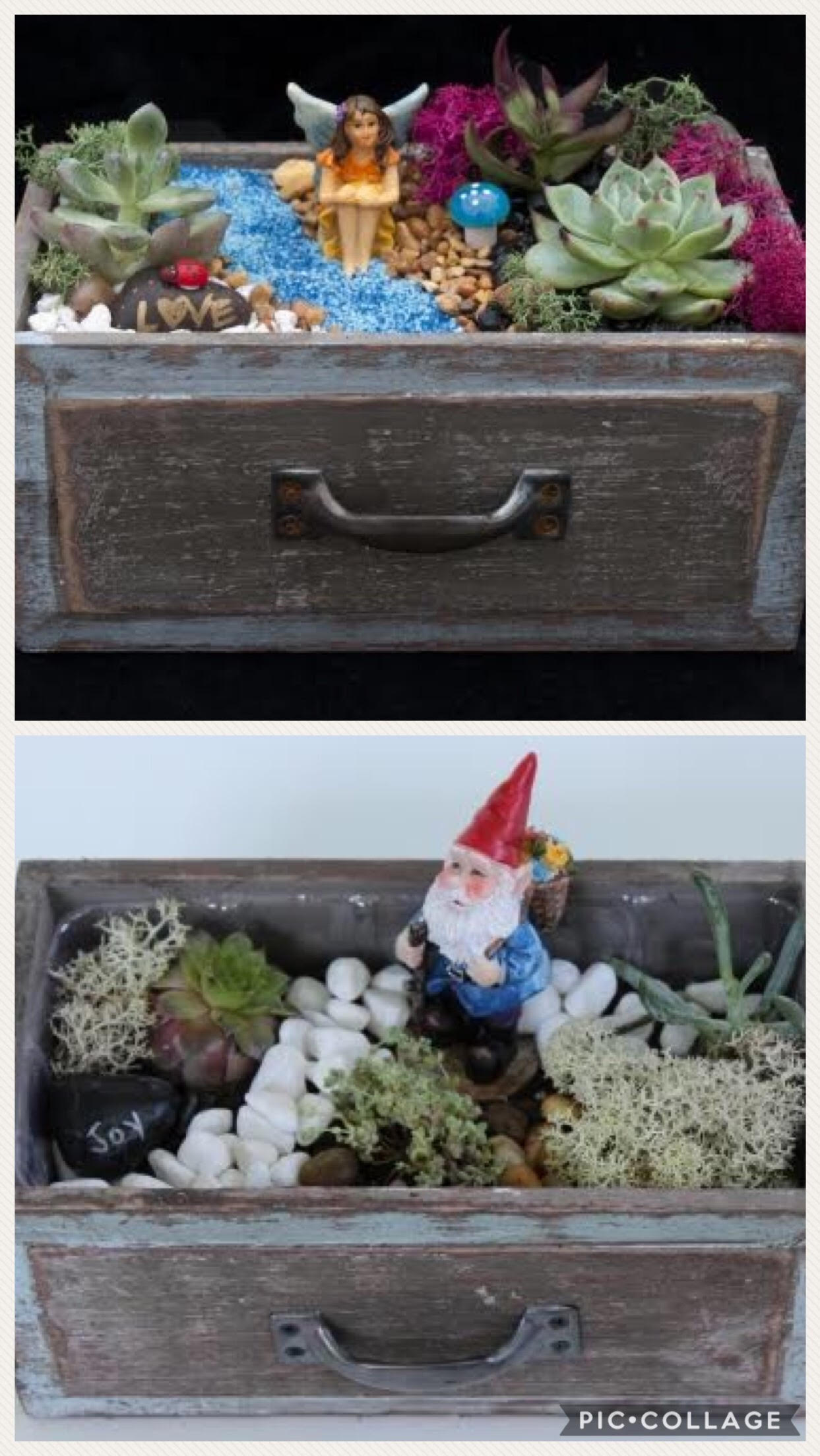 A Fairy  and Gnomes plant nite project by Yaymaker
