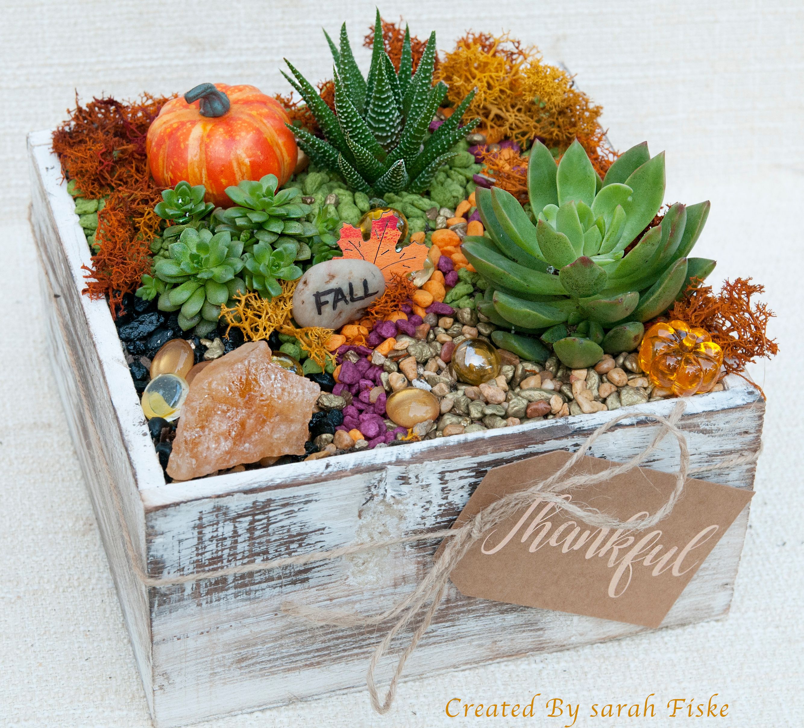 A Fall in Love with Citrine plant nite project by Yaymaker
