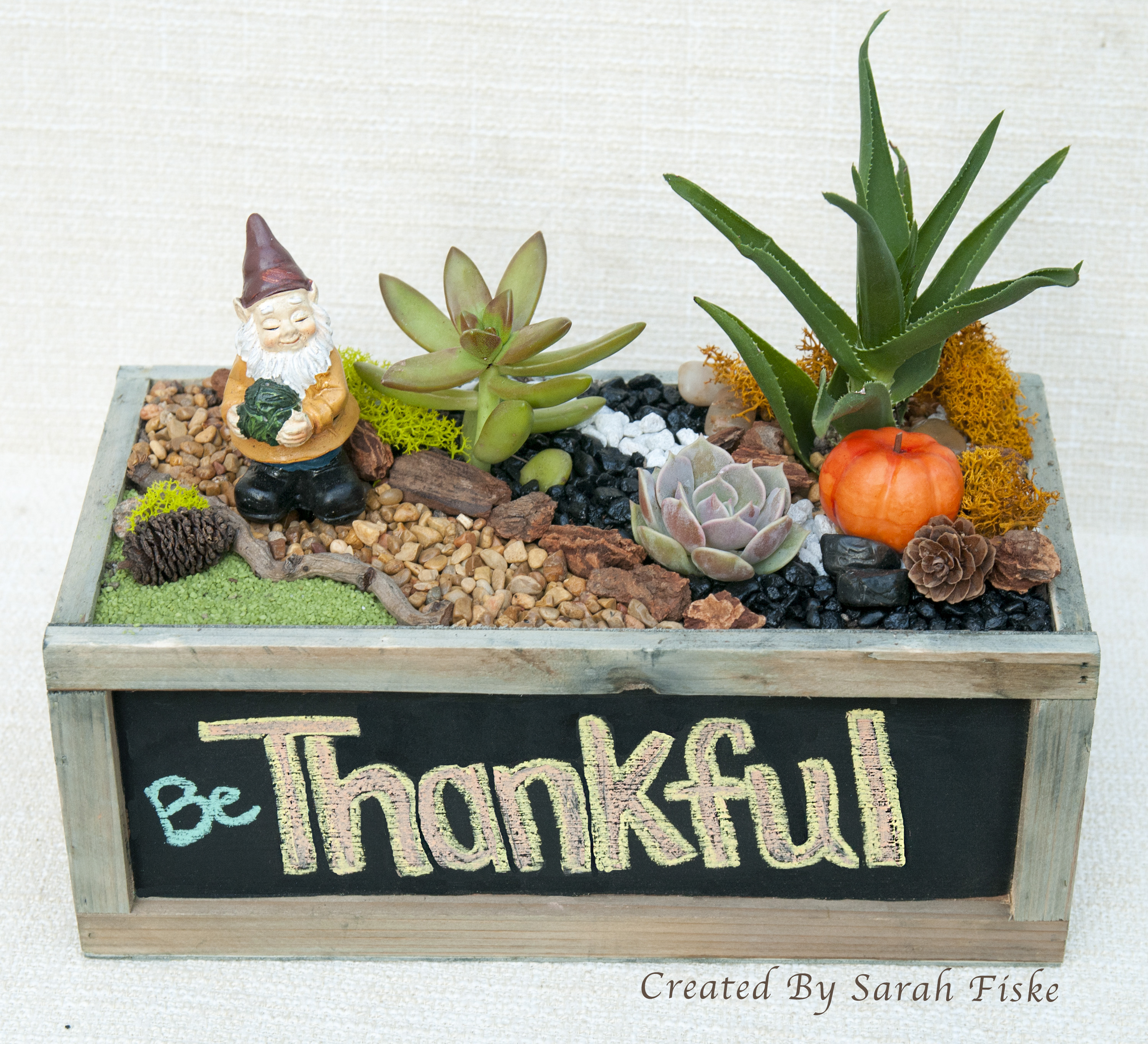 A Be Thankful Gnome Garden plant nite project by Yaymaker