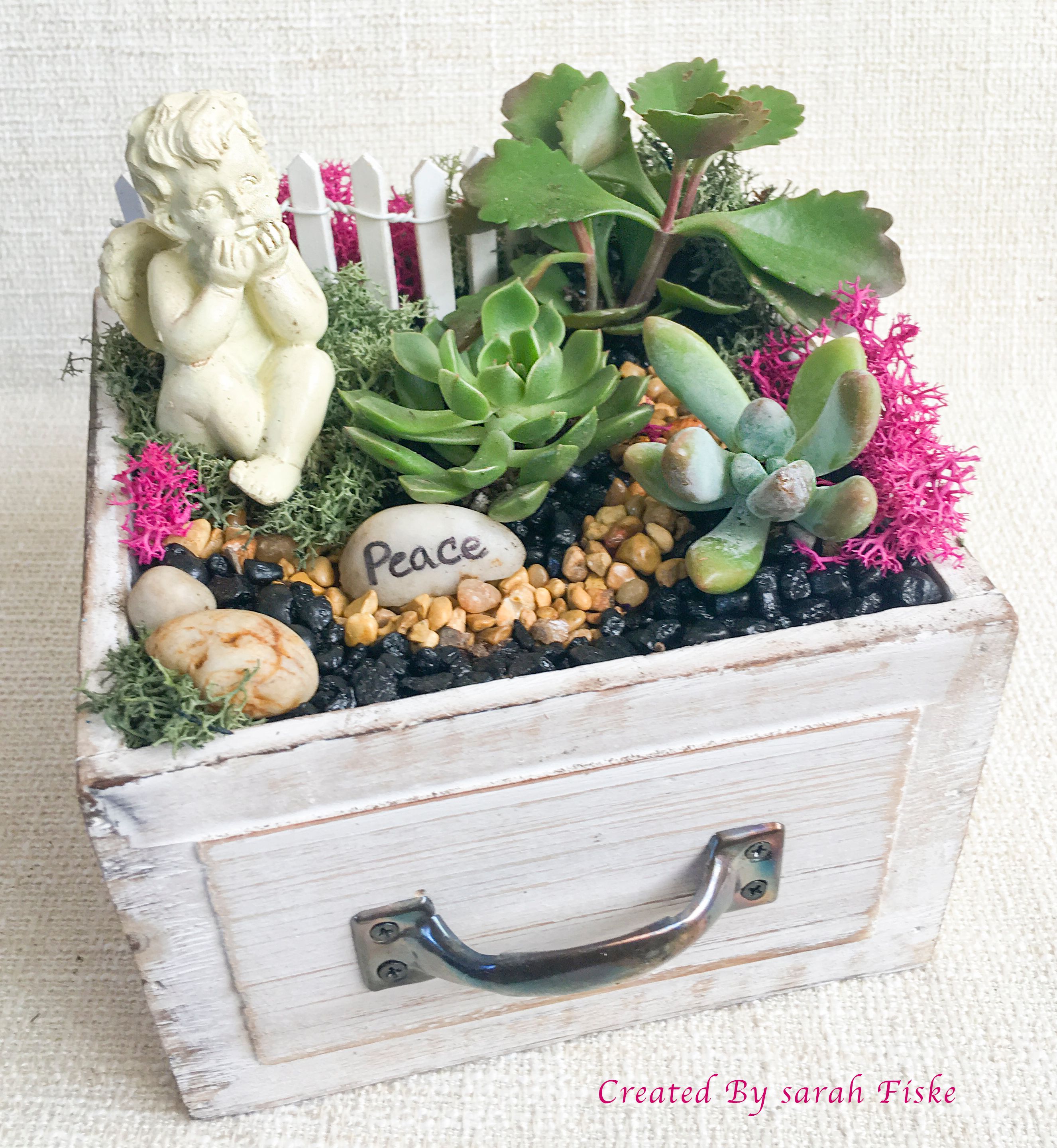 A Peaceful Angel in Wooden Drawer plant nite project by Yaymaker